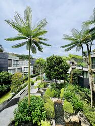 Mont Timah (D21), Terrace #449424151